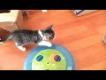 Beginning of video