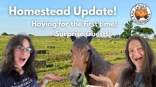 What's Going On At Our Homestead?