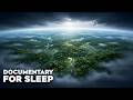 When Earth Was a Rainforest Planet | Documentary For Sleep