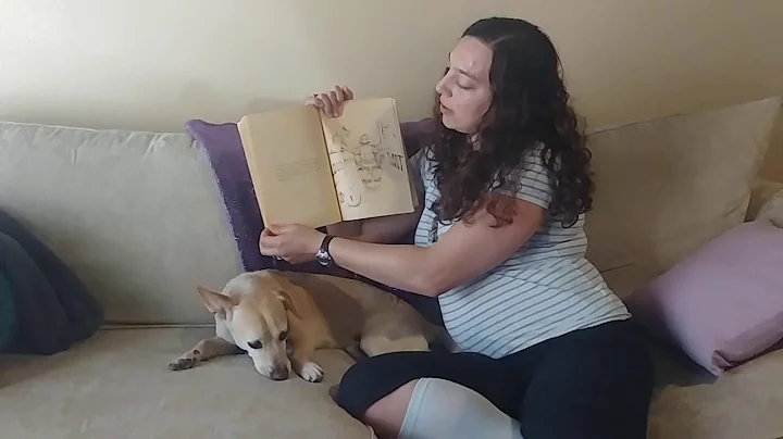 Heather Abrams reads The Mouse in the Matzah Factory