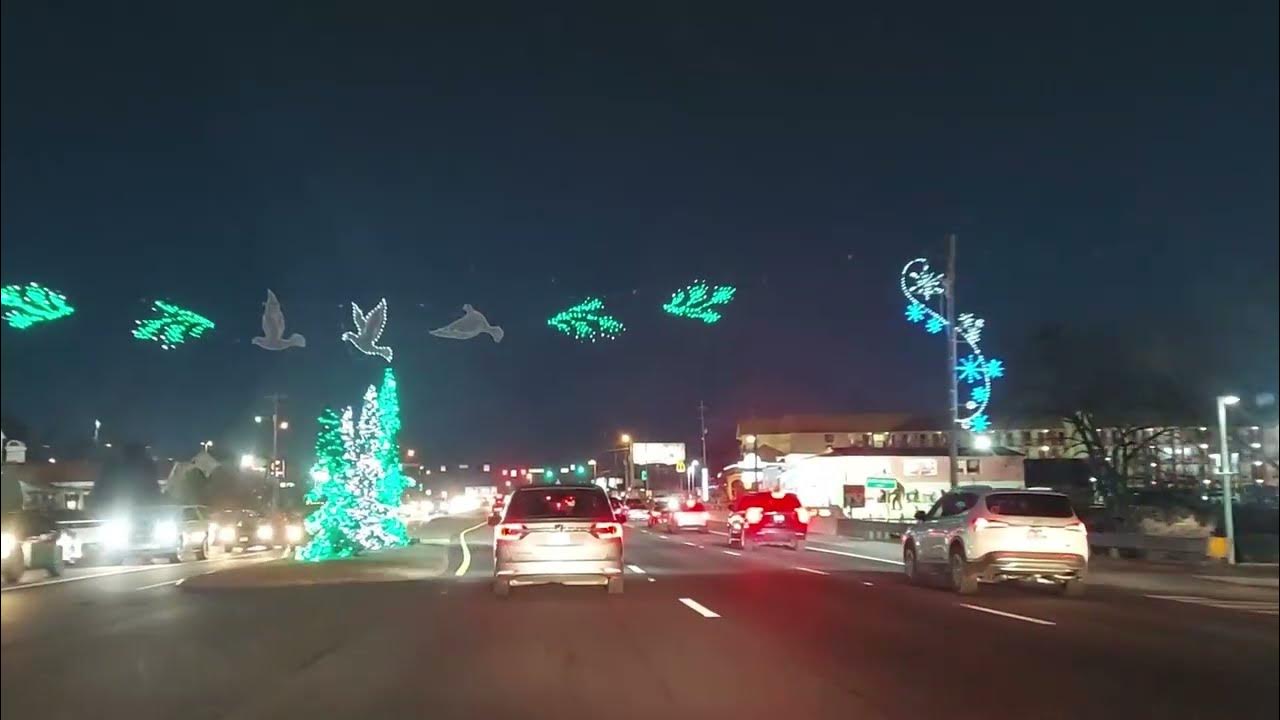 PIGEON SLAMMED WITH TRAFFIC... YouTube