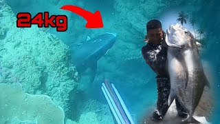 GIANT TREVALLY || GIANT FISH || SPEARFISHING PHILIPPINES