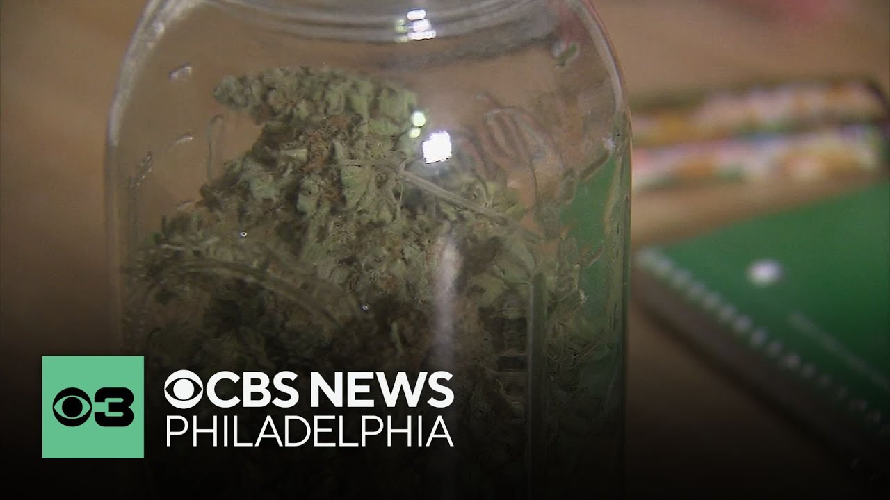 State senator introduces bill that would legalize recreational marijuana in Pennsylvania