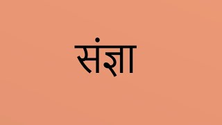 संज्ञा  UPTET / CTET / KVS PREP SERIES