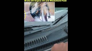 703. What is the Use of Brake Oil|Role and Benefits of Engine Oils|Windshield Washer Fluid in a Car