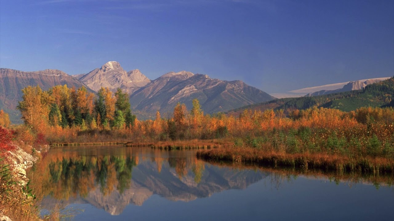 Reiki energy for COPD- Chronic Obstructive Pulmonary Disease