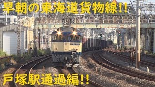 2019/09/22 [貨物列車] 早朝の東海道貨物線を行き交う貨物列車たち!! 戸塚駅通過編!!