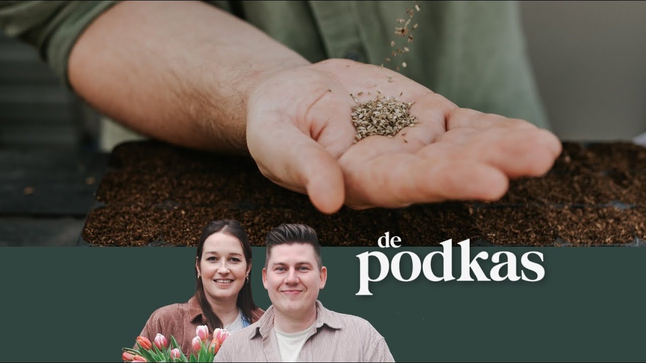 Herfstzaaien | Deze bloemen kun je nu zaaien | Weetjes over de kastanje - De Podkas #S3E3