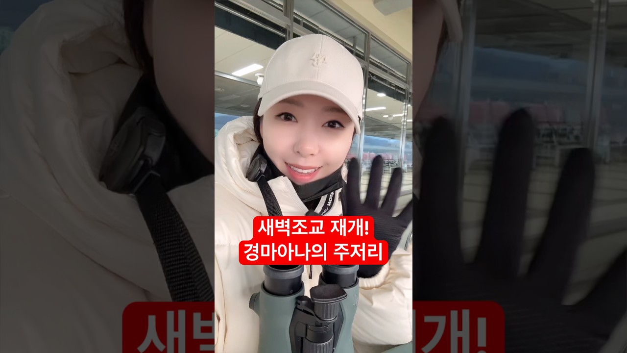 새벽조교 재개! 좋은 아침입니다🥰 다시 달려볼게요~!!