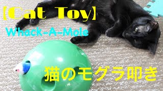 【Cat Toy】電動猫じゃらしモグラ叩き風な猫のおもちゃで遊ぶ！：Whack-A-Mole