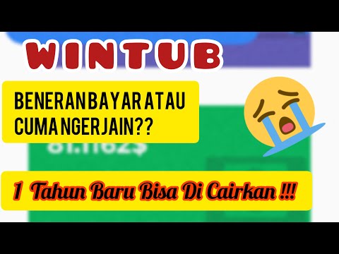 Wintub Review Bayar atau Tidak