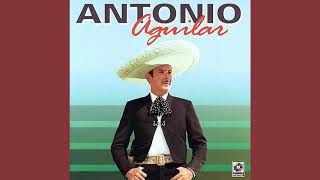 CAMINO DE GUANAJUATO-ANTONIO AGUILAR (AUDIO) DIA A DIA