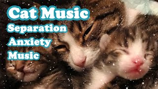 Cats favorite music, let your cat listen to it when you go out. cat music sleep