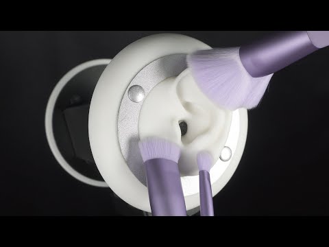 ASMR 또 분량 실패한 리노! 보라색 브러쉬로 빨려든다아아~~ [노토킹/notalking]