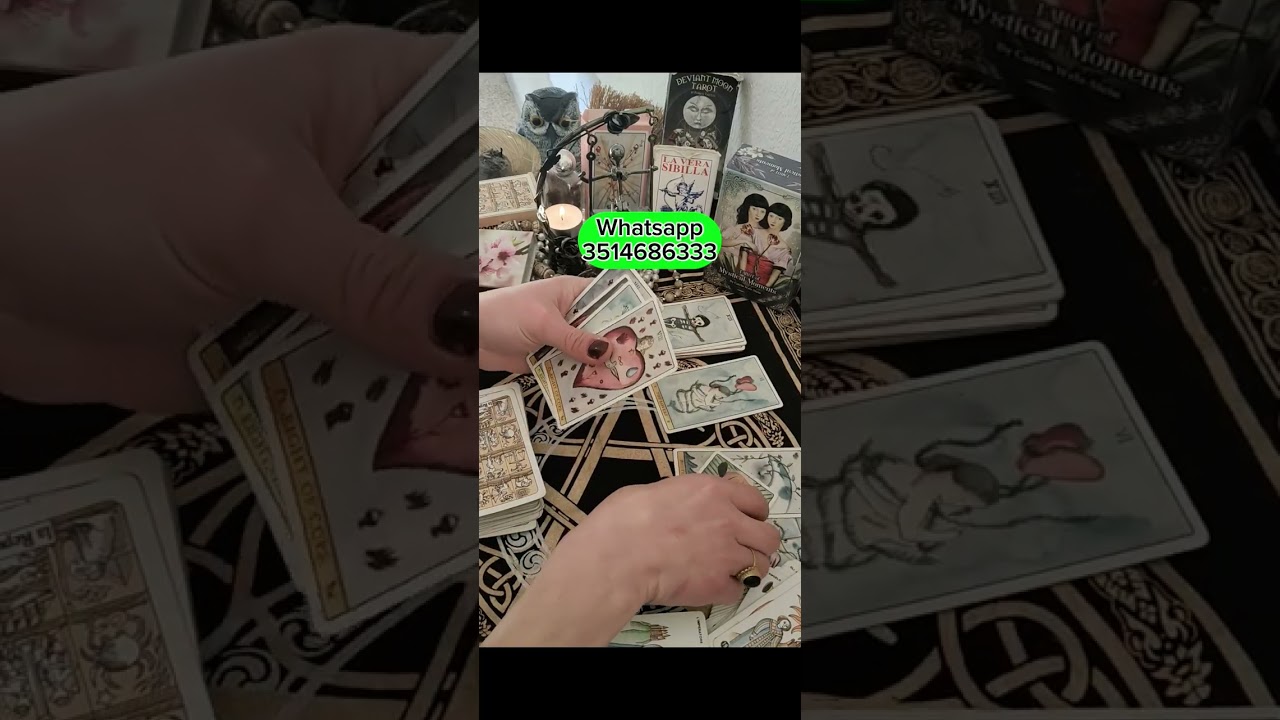 Scappa perché ha paura delle conseguenze delle sue azioni 🔮