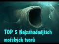 TOP 5 Nejzáhadnějších mořských tvorů natočených kamerou (2020)