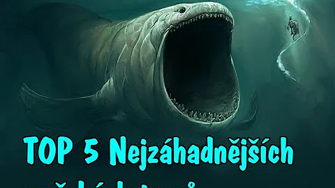 Kdo je nejzajímavější ryba?