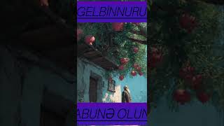 Nar ağacı ve dərviş dini hikaye#dinihikaye#