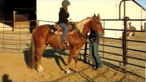 Valley View Ranch - Ready On Five -   ***For info, price, etc., go to our website***