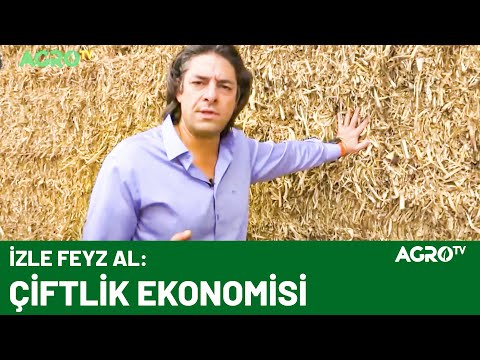 Video: Rokanın Yararları Ve Zararları, Besin Değeri Ve Enerji Değeri