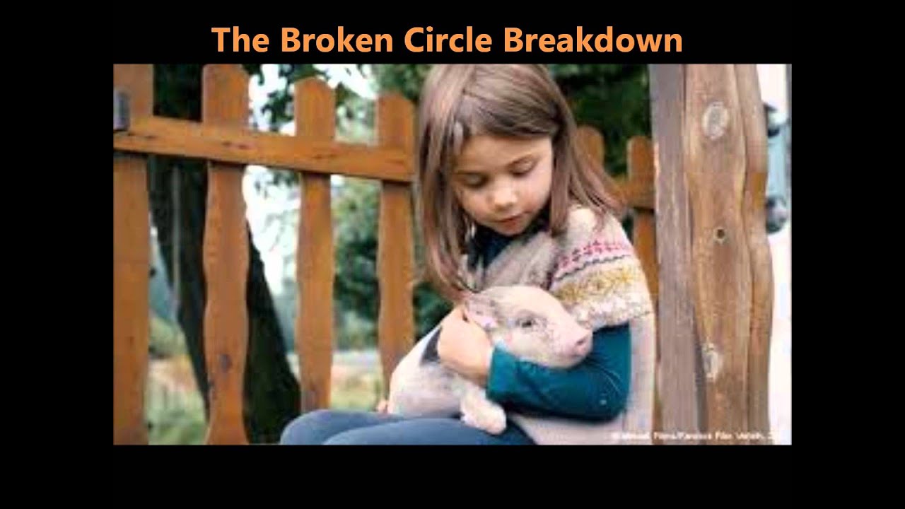 The Broken Circle Breakdown Movie Ending Music YouTube the-broken-circle-breakdown-movie-ending-music-youtube