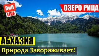 Озеро Рица | Абхазия, водопады Гегский, Молочный и Мужские Слезы, Юпшарское ущелье, сыроварня, влог