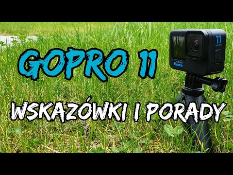 Wideo: 6 sposobów na usunięcie plam z dywanu