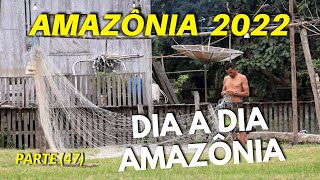 MANGUEIRA TOPLULUĞUNA DÖNÜŞ 47. BÖLÜM AMAZON'DA GÜN GÜN