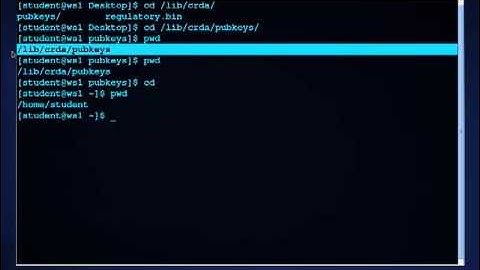 Navigating the Command Line with cd and pwd
