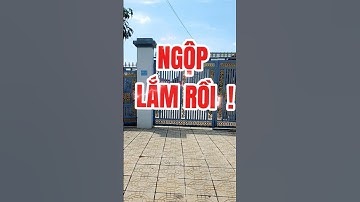 Đất Dầu Tiếng I Bán gấp căn nhà trung tâm Dầu Tiếng 12 ×50 ( Tc 100) giá rẻ