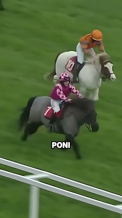 Pony Racing