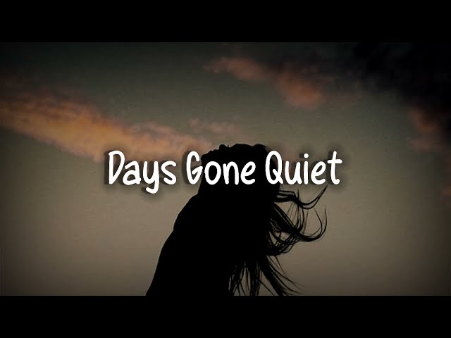Lewis Capaldi - Days Gone Quiet (lyrics) class=