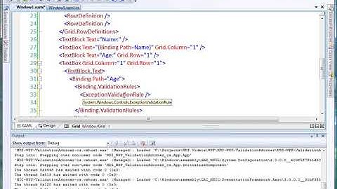 win video WPF Validation Adorner