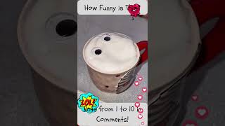 Daily Fun And Laughter