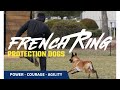 French Ringsport (Working Dogs)