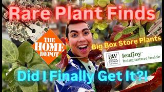 Big Box Store Plant Shopping Massive Proven Winners Leafjoy & Rare Houseplant Haul! Easy Care Plants