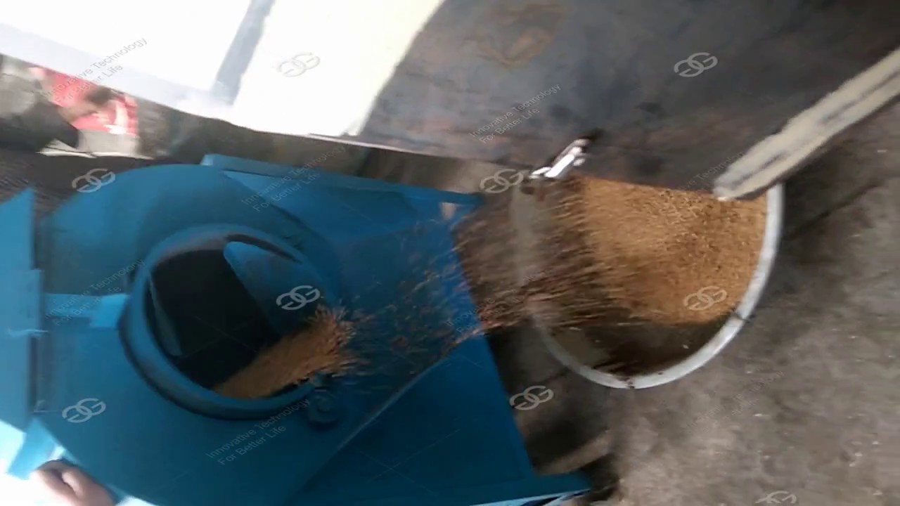 Soybean Roaster MachineMelon Seed Roasting Machine Working Video YouTube