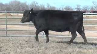 Lot 421, G A R Destination 512