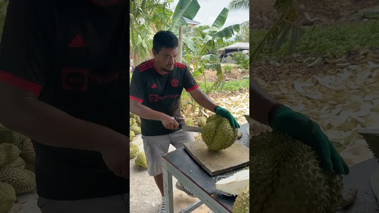 Super speed! Professional durian peeling skills. 