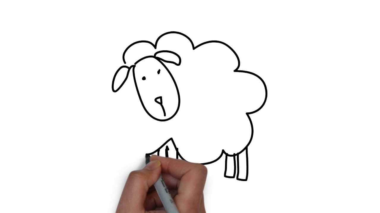Как нарисовать овечку для детей поэтапно