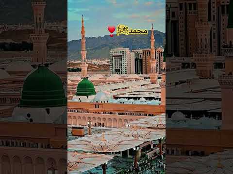   محمدﷺ        