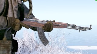 : Rust - SKS  ? / !