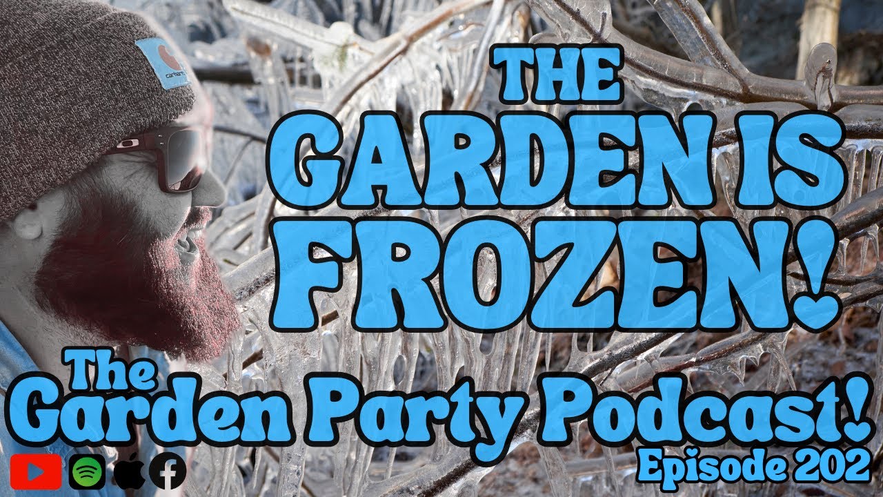 Protect Your Plants From The Arctic Blast! | The Garden Party Podcast ...