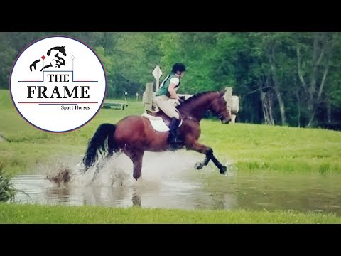 Frame Abdullah de la Folie **** EVENTING BN XC Loudoun Hunt Spring HT 2017 ****