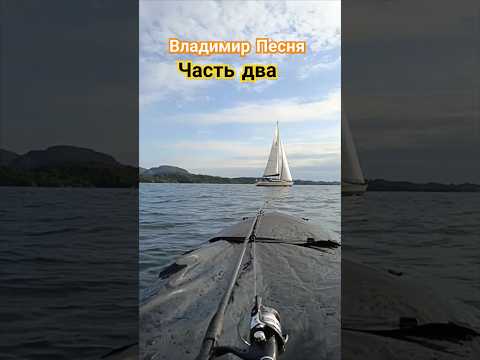 Владимир Песня / Не Пара #shortsvideo #шортсы ##shorts