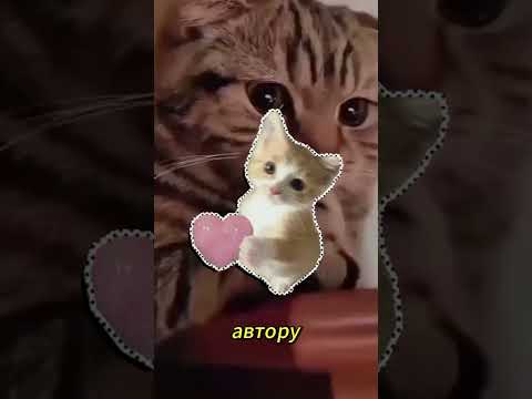 ⁉ВЫ БУДЕТЕ В ШОКЕ КОГДА УЗНАЕТЕ КУДА СЛИВАЕТСЯ ВСЯ ЖИДКОСТЬ ИЗ РАКОВИНЫ⁉