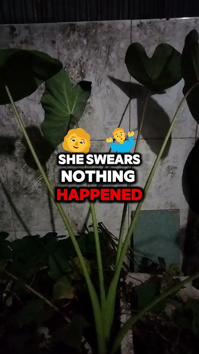 when-trust-is-broken-my-search-for-the-truth-youtube