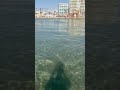 نقاوه البحر بقبرص لارنكا رمال ناعمه وشواطئ غير شكل