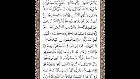القرآن الكريم | القارئ ياسر الدوسري صفحة 31 سورة البقرة