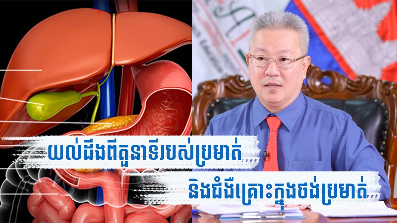 យល់ដឹងអំពី​តួនាទីរបស់ប្រមាត់​​និង​ជំងឺ​គ្រួស​ក្នុង​ប្រមាត់​